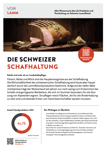 Vom Lamm Deutsch 