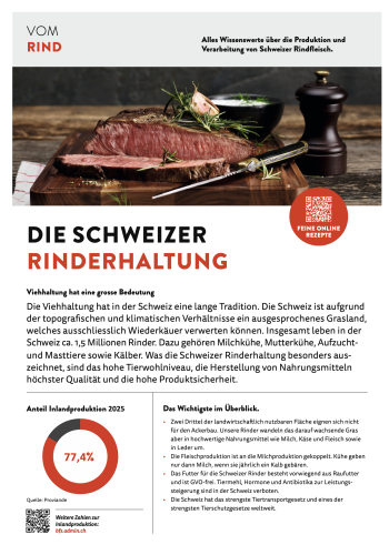 Vom Rind Deutsch