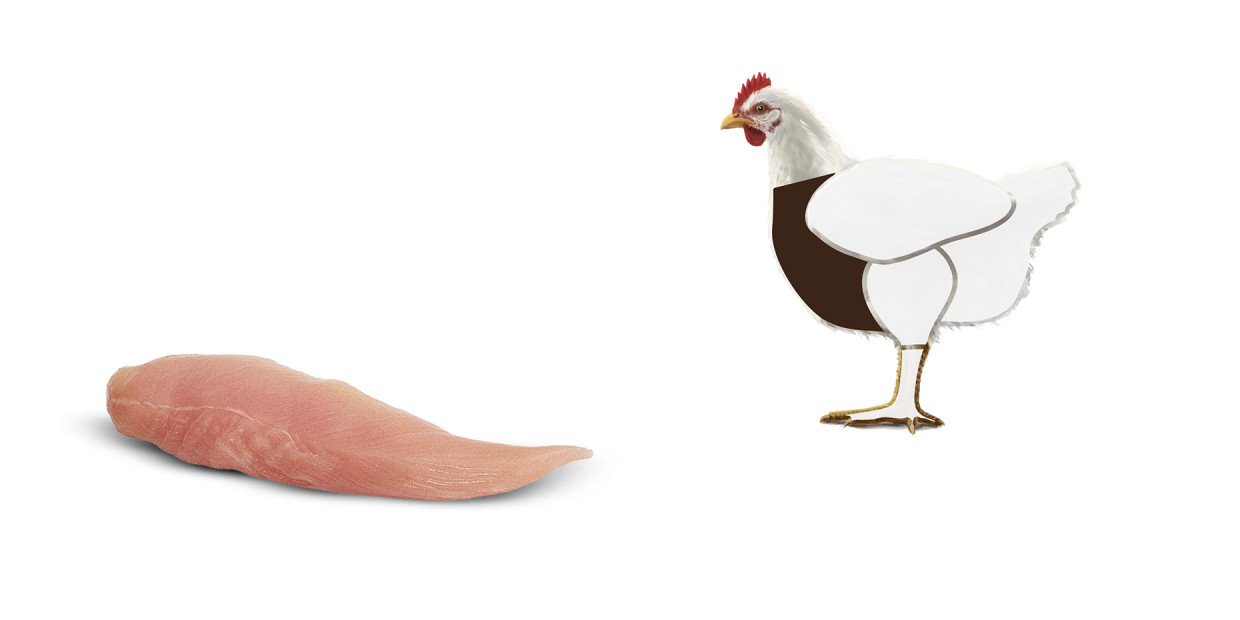 Fleischkunde Poulet Brust Innenfilet
