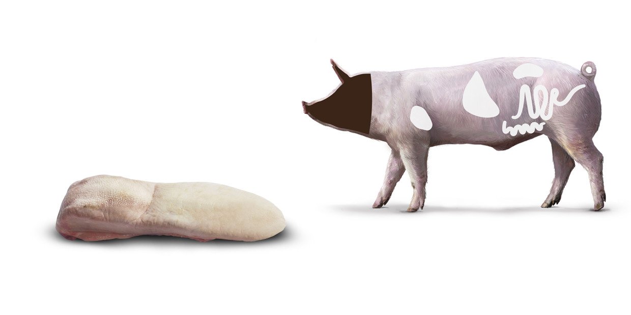 Fleischkunde Schwein Kopf Zunge