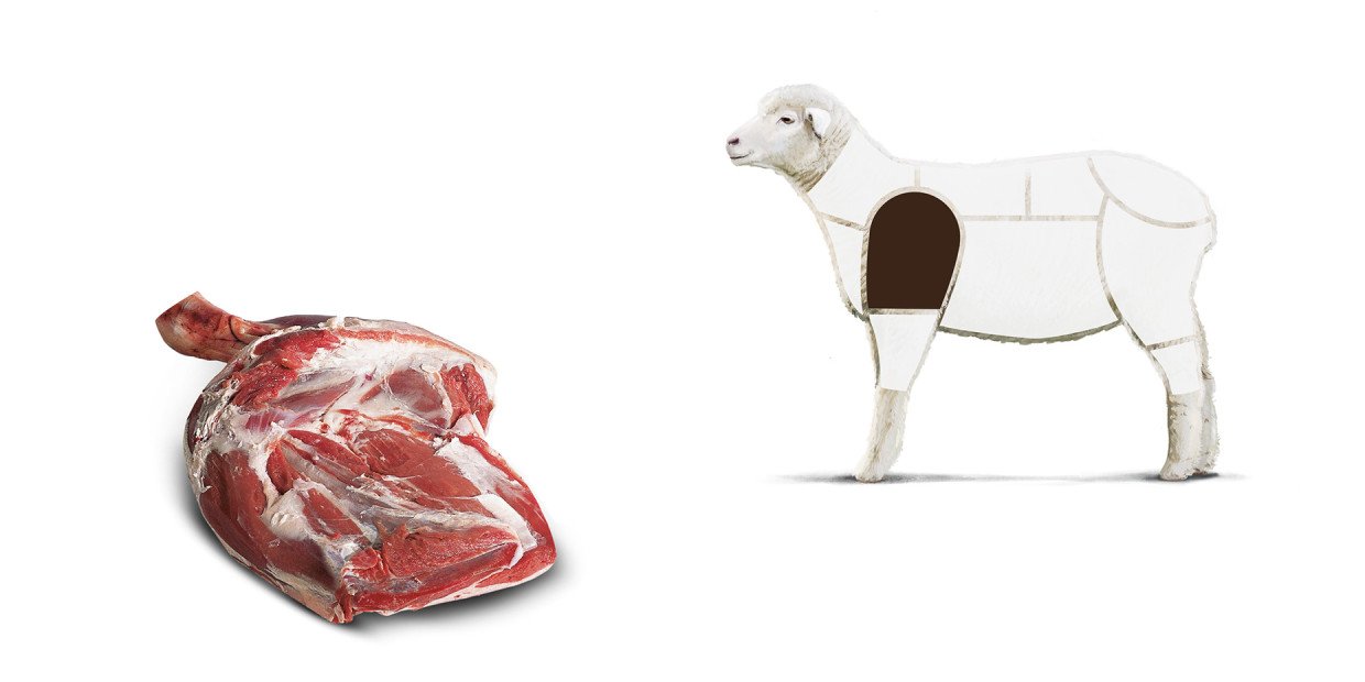 Fleischkunde Lamm Schulter 