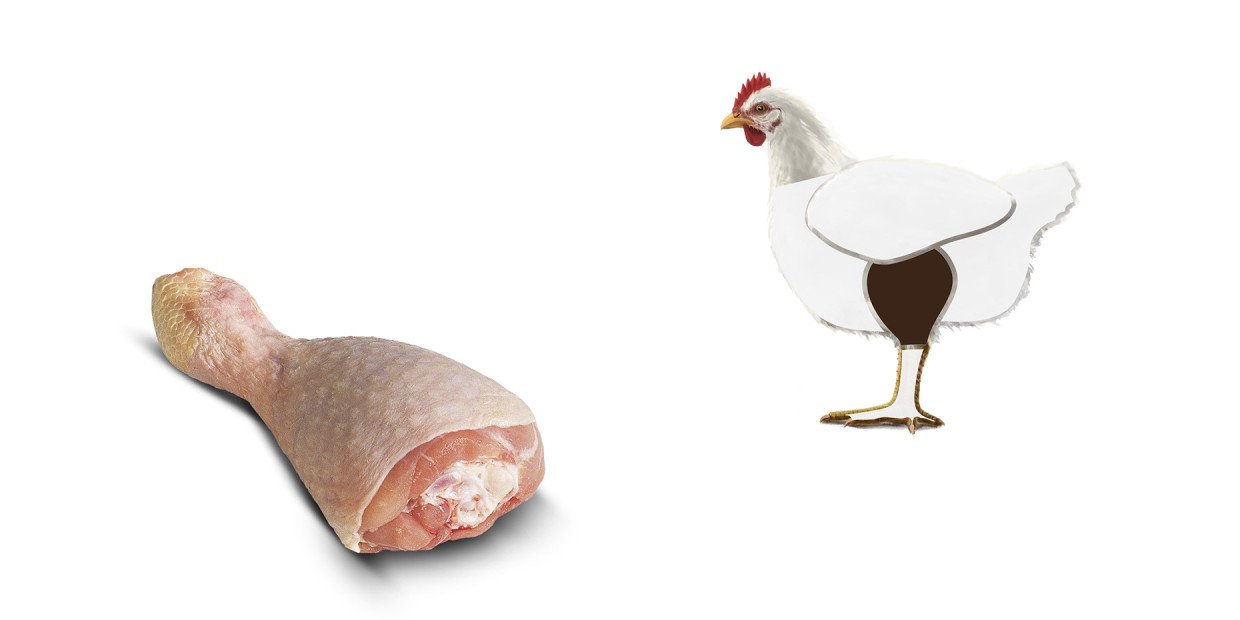 Fleischkunde Poulet Schenkel Unterschenkel