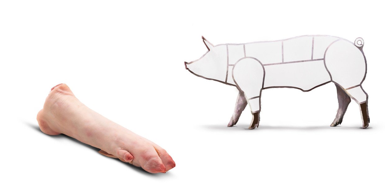 Schwein Fuss