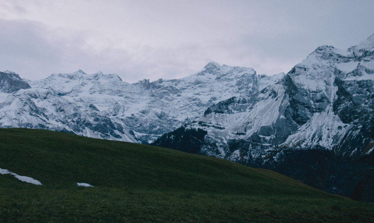 Feld
