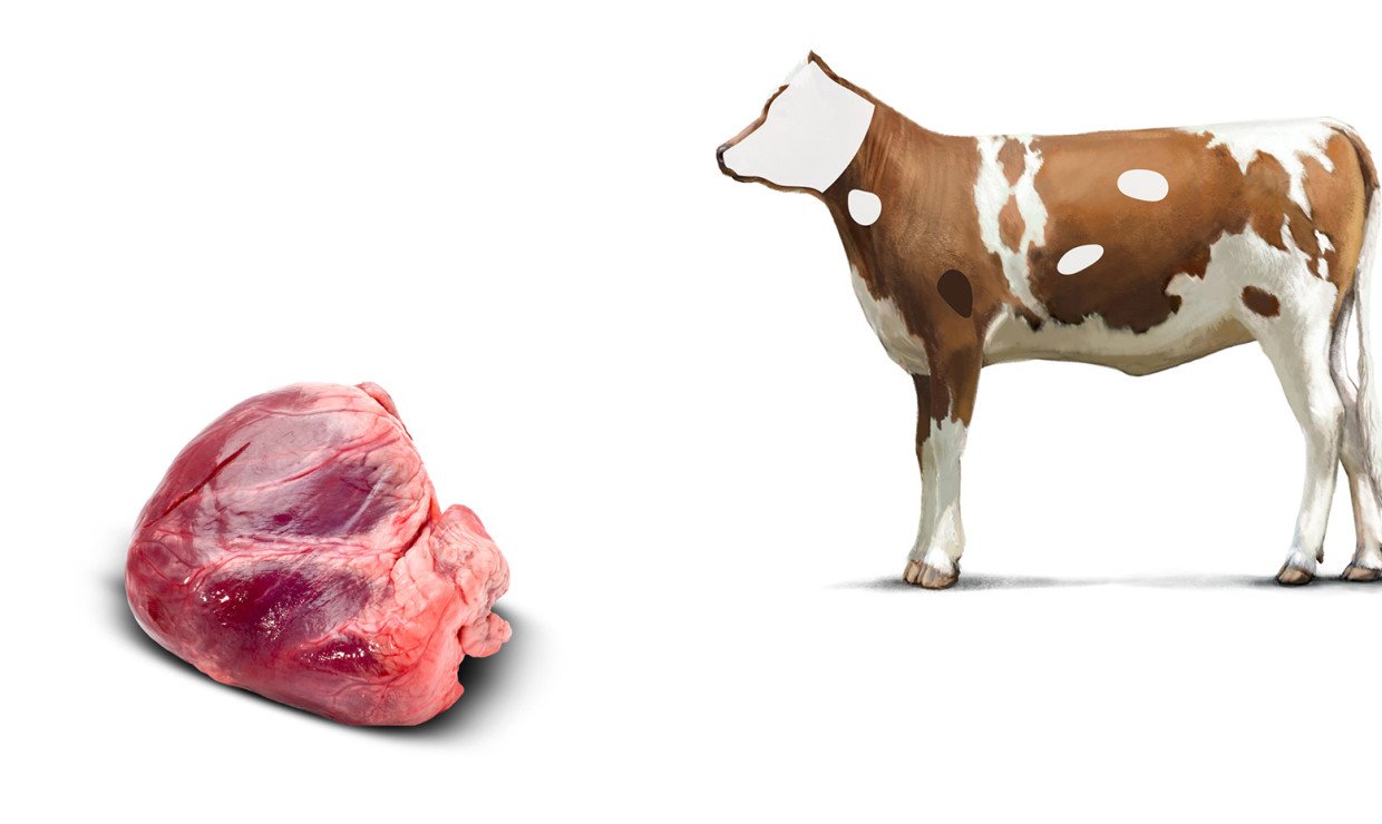 Herz - Schweizer Fleisch
