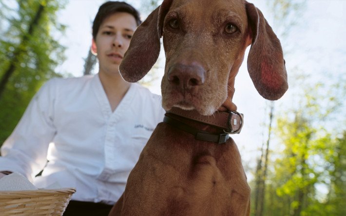 Lars mit Hund