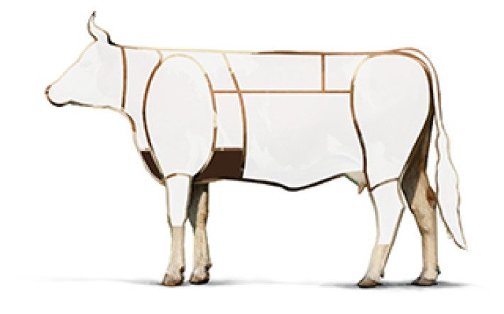 Illustration Rind Brust