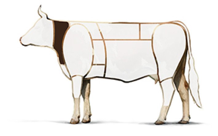 Illustration Rind Hals