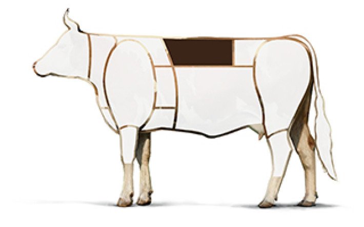 Illustration Rind Nierstück