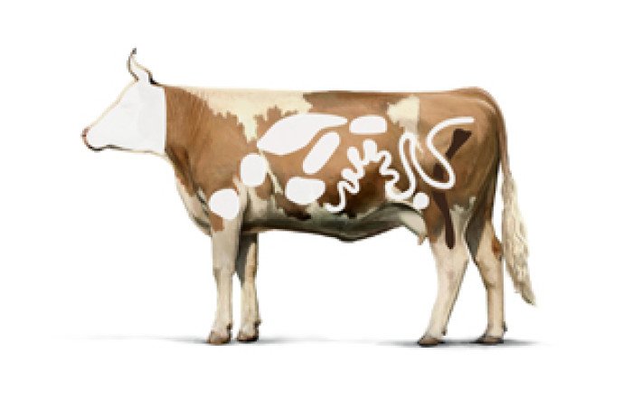 Rind-Innereien-Markbein