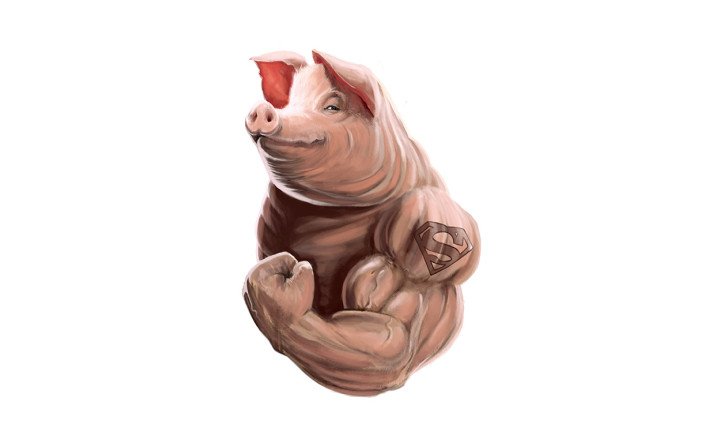 Muskelschwein