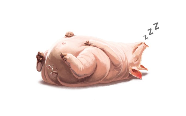 Schlafendes Schwein