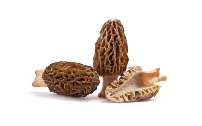 Pilze Morcheln