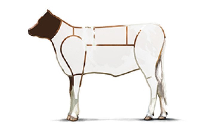 Fleischkunde-Kalb-Meatcuts-Kopf
