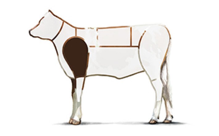 Fleischkunde Kalb Meatcuts Schulter