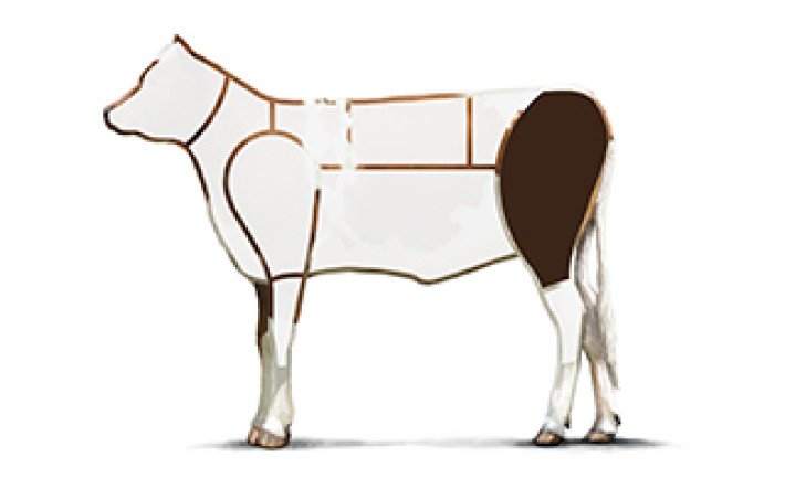 Fleischkunde Kalb Meatcuts Stotzen