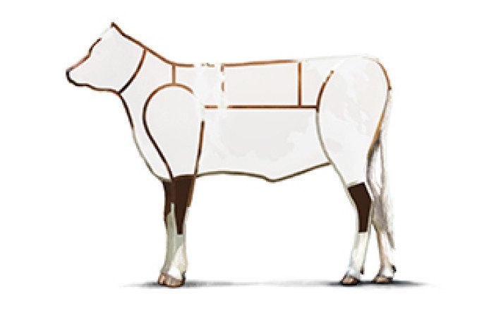 Fleischkunde Kalb Meatcuts Haxe