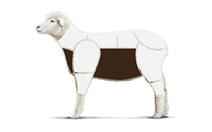 Fleischkunde Lamm Meatcuts 4 