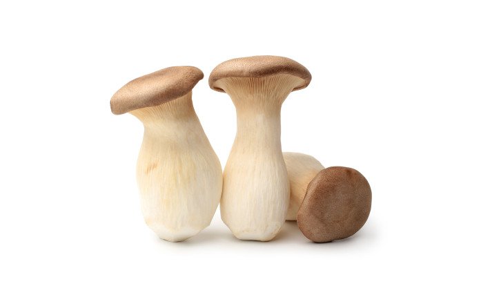 pilze kraeuterseitlinge