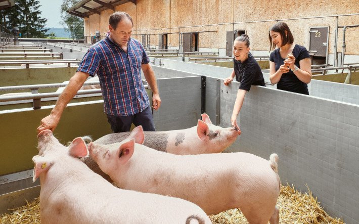 MuG Duo regionale Erfolgsgeschichte Schweine