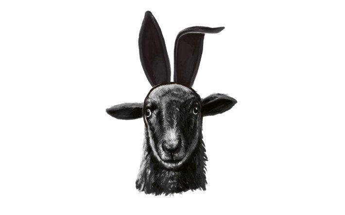 MuG Facts Figures Jahresserie Schaf Ostern