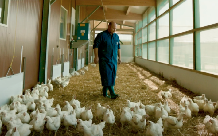 Teaserbild Basiskampagne Kolly