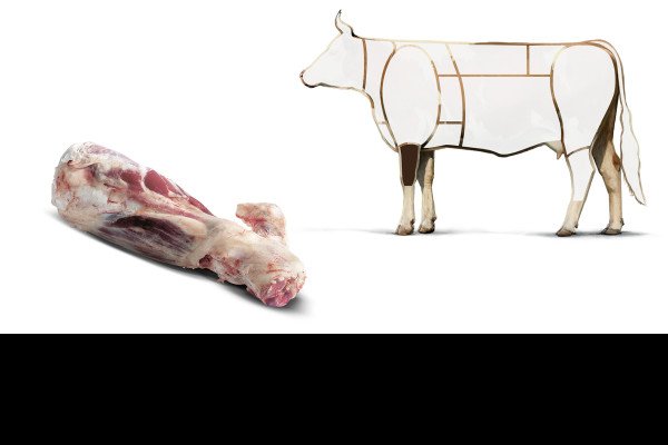 Rind_Schenkel_Vorderviertel_Grafik.jpg - Schweizer Fleisch