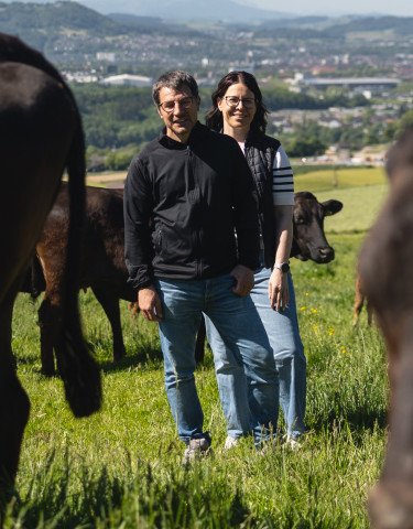 Personen auf Feld mit Wagyu-Rinder 
